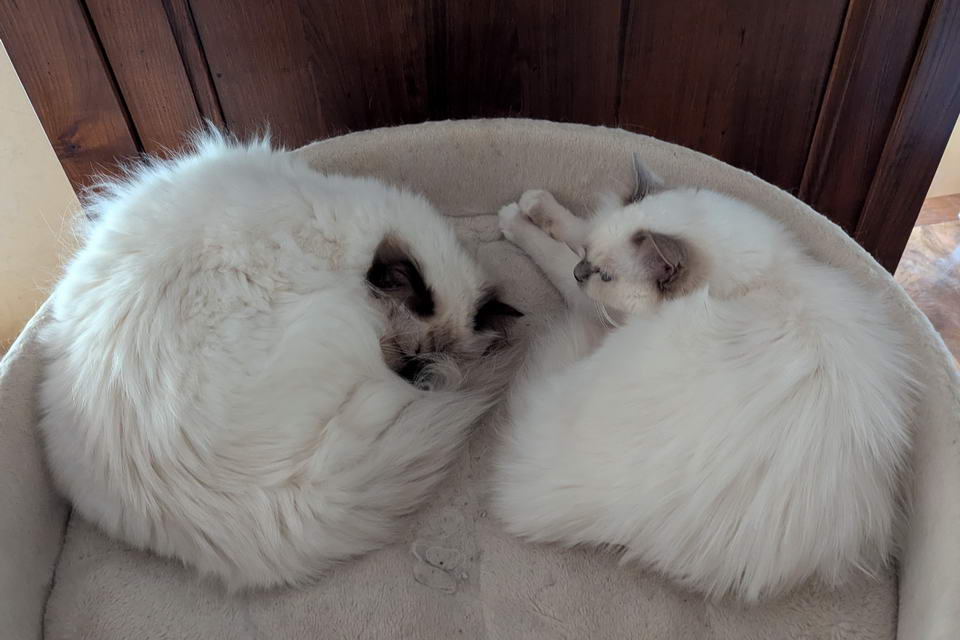 Avec mon super papa Fusco